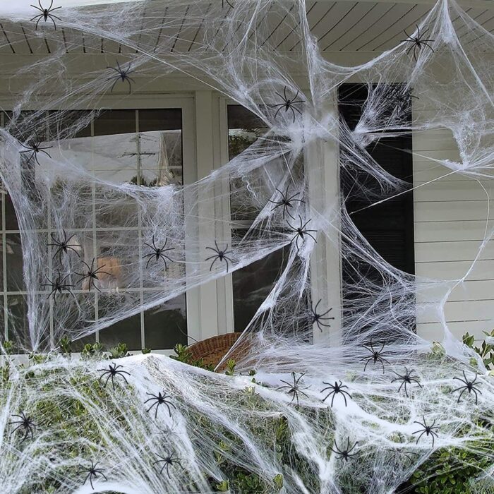 Stretchable Spider Web Decor